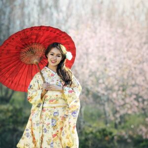geisha, kimono, umbrella-1822467.jpg